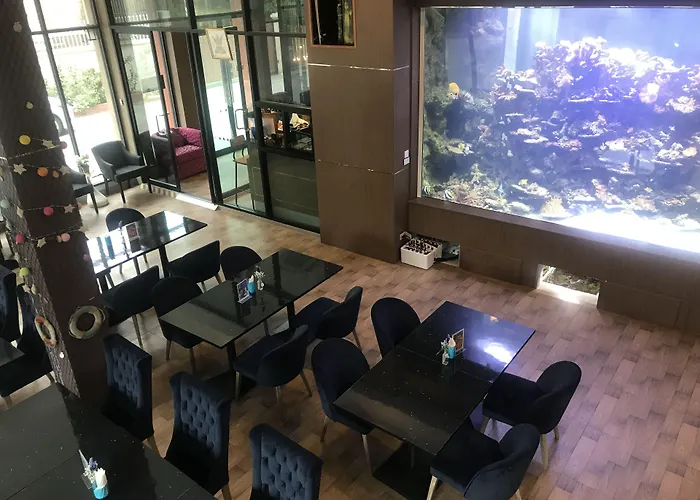 V20 Boutique Jacuzzi Hotel